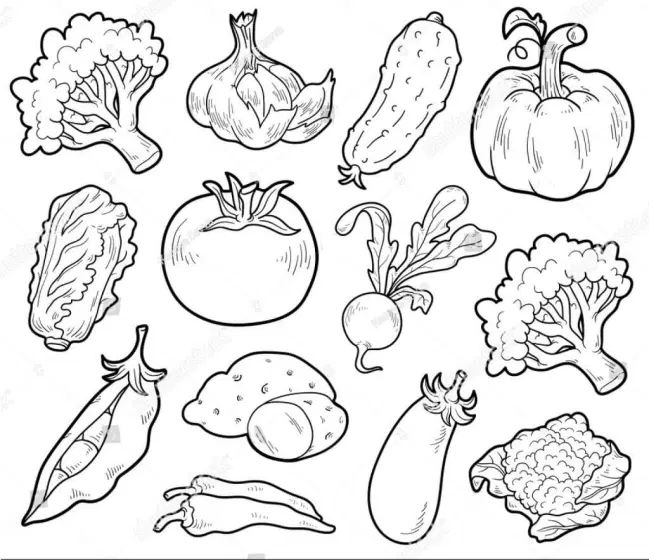 50+ Hình vẽ rau củ quả ngộ nghĩnh và cách vẽ rau củ quả đơn giản